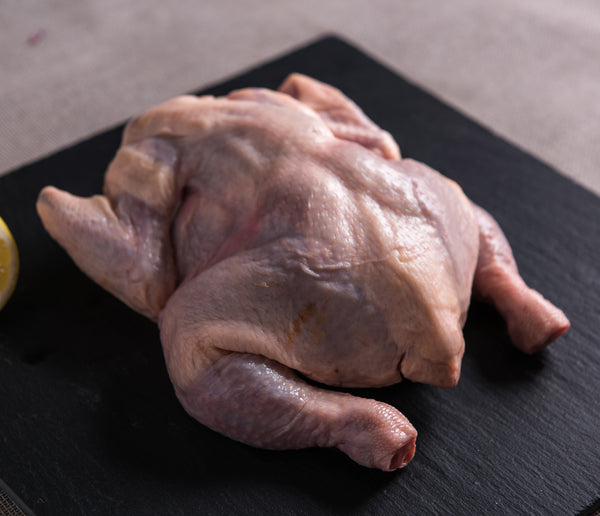 POLLO ENTERO DE ENGORDA 1.5 A 1.7 KG.