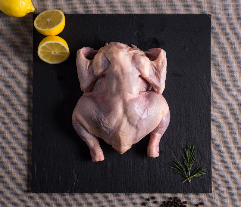 POLLO ENTERO DE ENGORDA 1.5 A 1.7 KG.