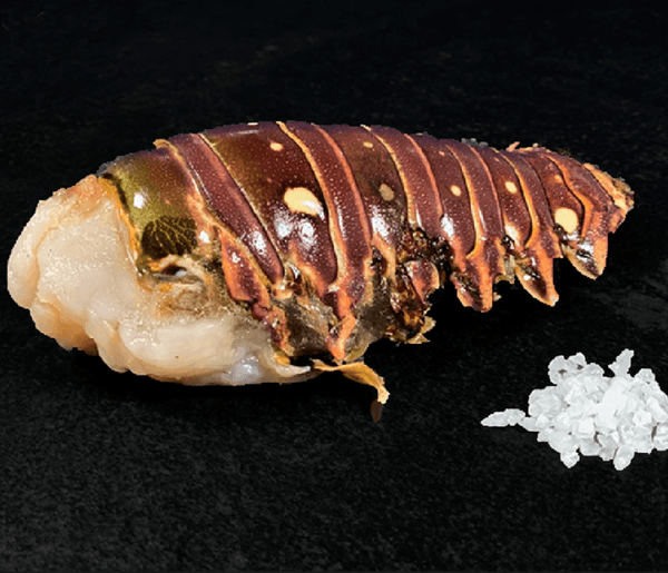 LANGOSTA DEL CARIBE 185 GR. - La Carniceria Virtual