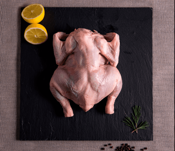 POLLO ENTERO ORGÁNICO ROCK CORNISH 900 GR. - La Carniceria Virtual